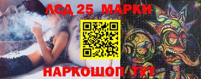 гидра Можга