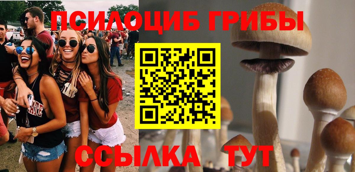 Туймазы  Псилоцибиновые грибы Psilocybe  Псилоцибиновые грибы мухоморы  Вход с VPN 